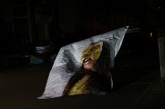 20 eme Rue Ouest 115 * 6000 x 4000 * (5.6MB)